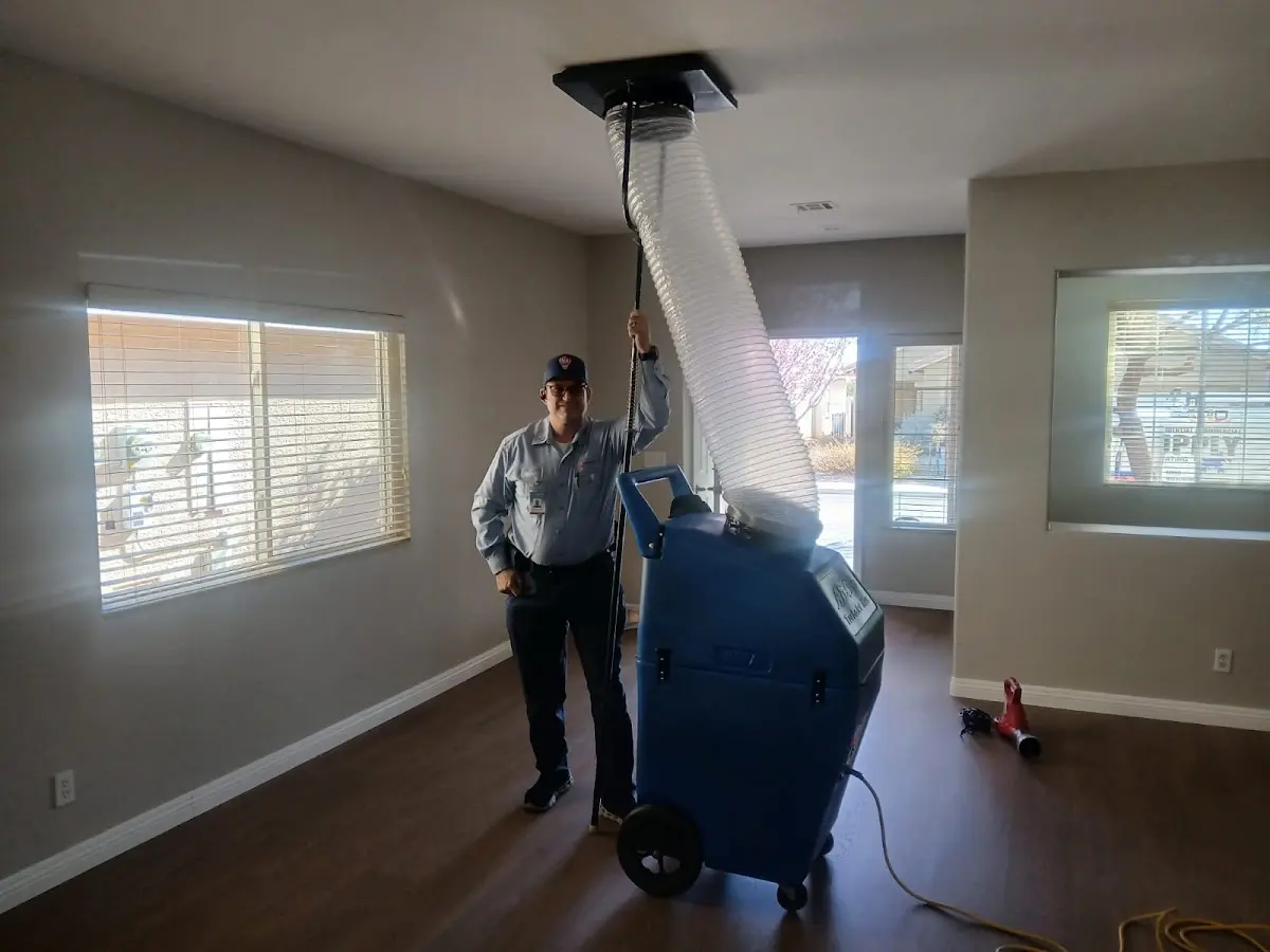 Professional Dryer Vent Cleaning work inside a Dolton home